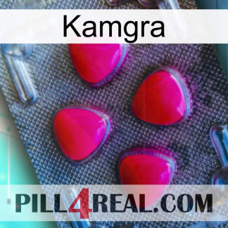 Kamgra 13